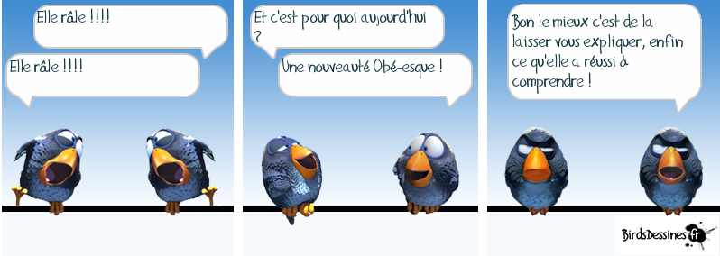 http://i16.servimg.com/u/f16/09/02/08/06/oiseau11.png