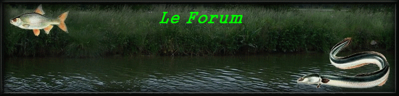 Le top de la peche !!