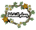 كبير الأعضاء كبير الأعضاء
