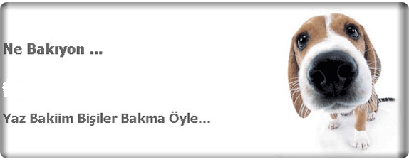 byserdar