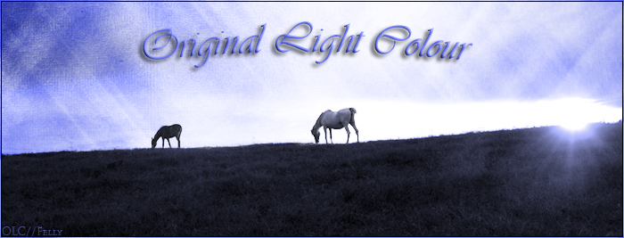 Original Light Colour