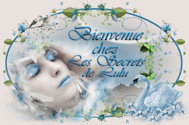 Les Secrets de Lulu