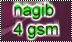 لا مساهمات جديدة لا مساهمات جديدة