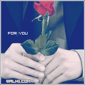 صورة شخصية 26 صورة شخصية 26