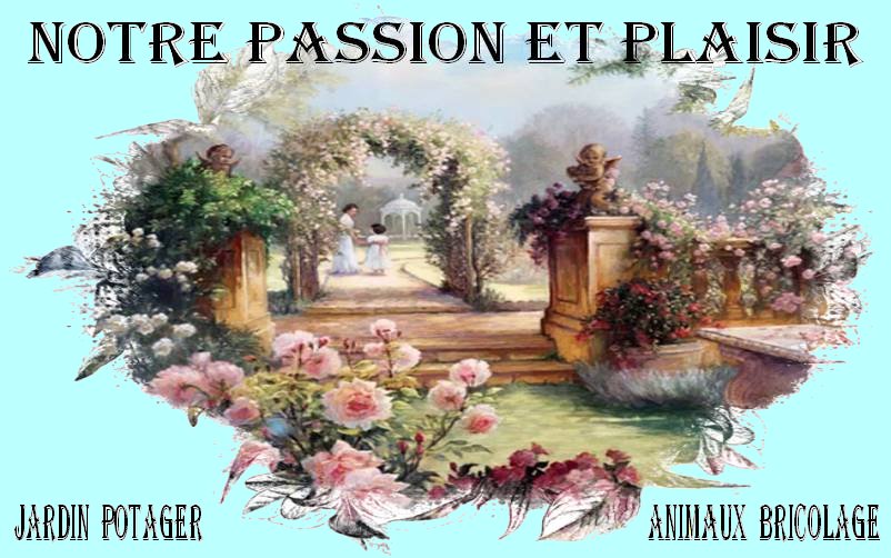 passion plaisir