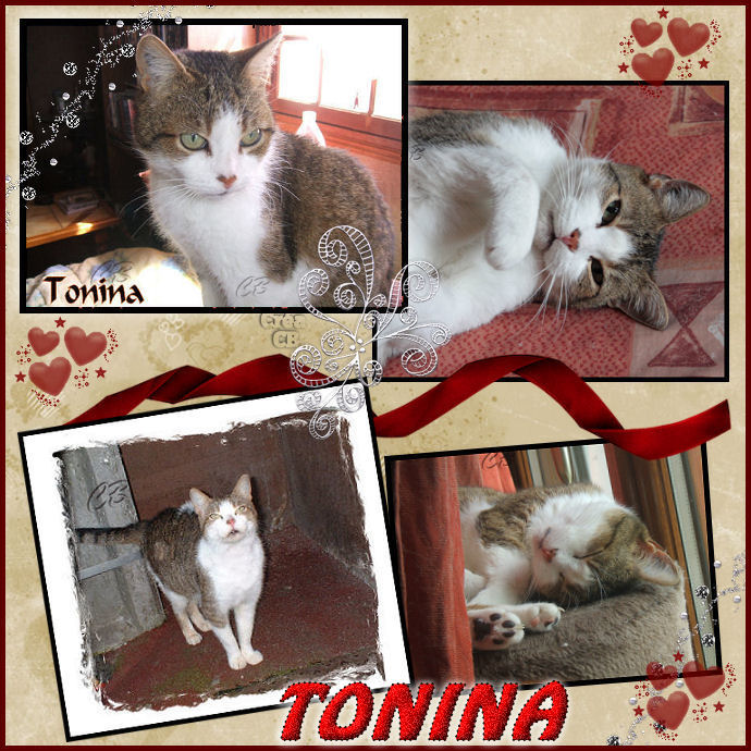 tonina12.jpg