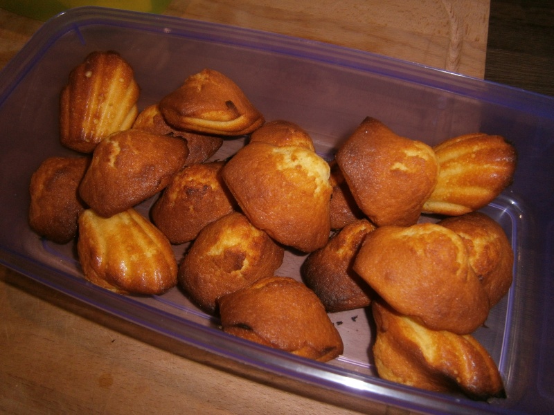 http://i16.servimg.com/u/f16/11/69/53/34/01710.jpg