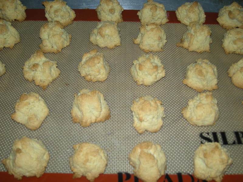 dscn1215.jpg