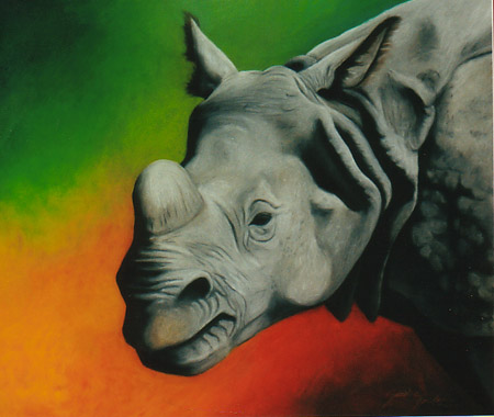 rinoce11.jpg